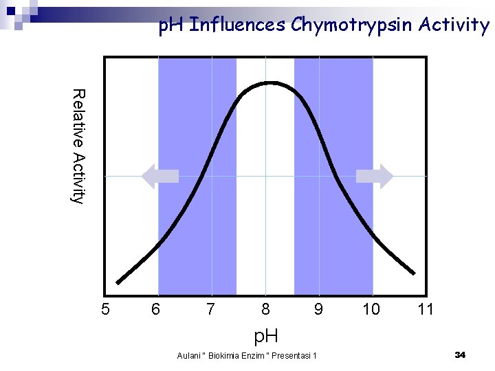 p. H Influences Chymotrypsin Activity Relative Activity 5 6 7 8 9 10 11