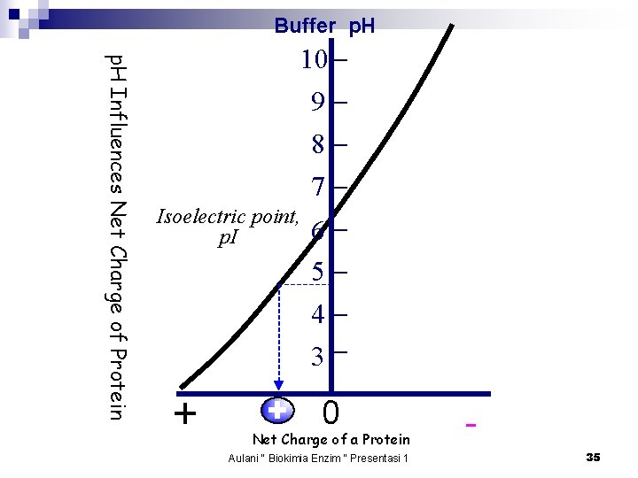 Buffer p. H Influences Net Charge of Protein 10 9 8 7 Isoelectric point,