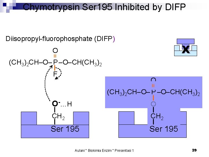 Chymotrypsin Ser 195 Inhibited by DIFP Diisopropyl-fluorophosphate (DIFP) X = O (CH 3)2 CH–O–