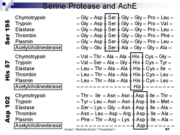 Ser 195 Chymotrypsin Trypsin Elastase Thrombin Plasmin Acetylcholinesterase – Gly – Asp – Ser