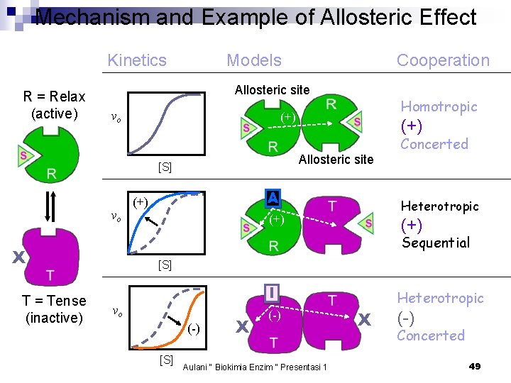 Mechanism and Example of Allosteric Effect Kinetics R = Relax (active) Models Allosteric site