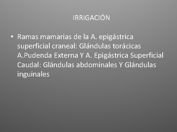 IRRIGACIÓN • Ramas mamarias de la A. epigástrica superficial craneal: Glándulas torácicas A. Pudenda