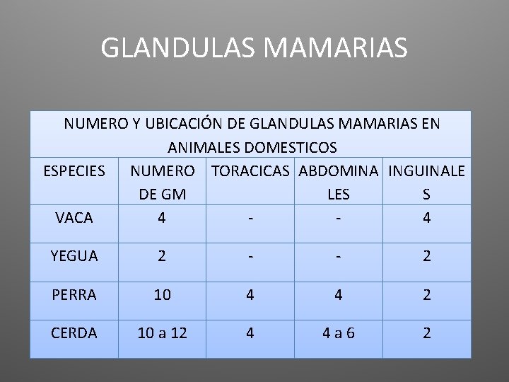 GLANDULAS MAMARIAS NUMERO Y UBICACIÓN DE GLANDULAS MAMARIAS EN ANIMALES DOMESTICOS ESPECIES NUMERO TORACICAS