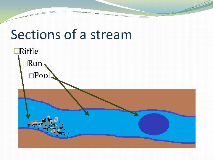 Sections of a stream �Riffle �Run �Pool 