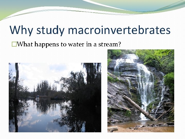 Why study macroinvertebrates �What happens to water in a stream? 