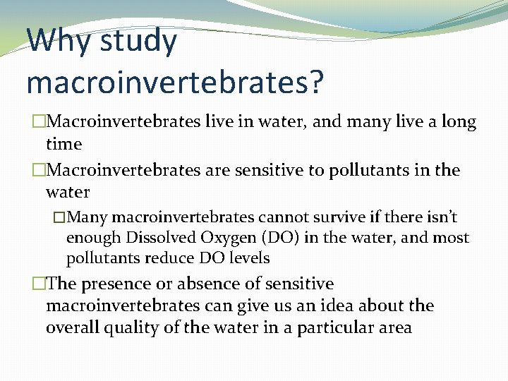Why study macroinvertebrates? �Macroinvertebrates live in water, and many live a long time �Macroinvertebrates