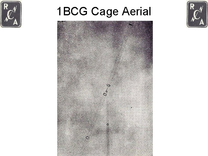 1 BCG Cage Aerial 
