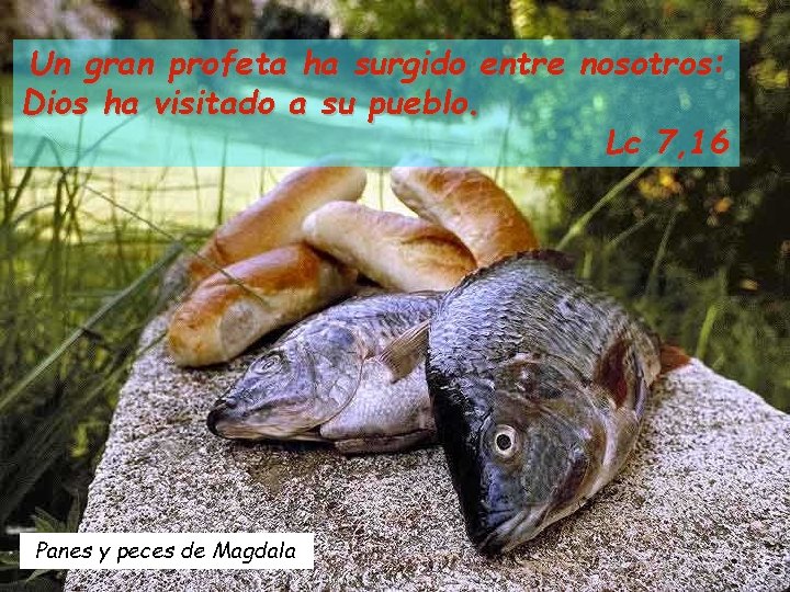 Un gran profeta ha surgido entre nosotros: Dios ha visitado a su pueblo. Lc