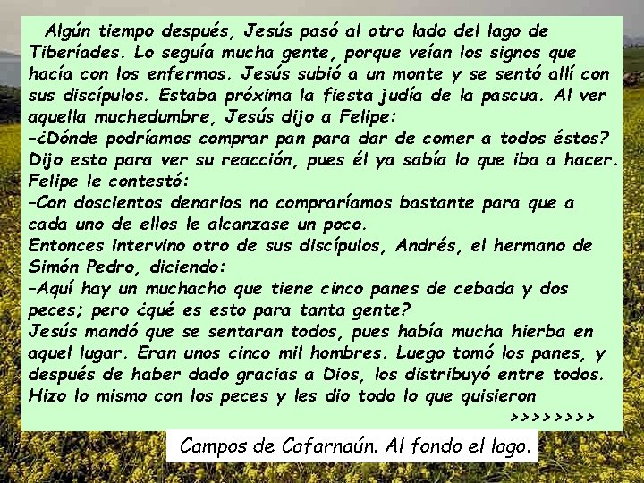 Algún tiempo después, Jesús pasó al otro lado del lago de Tiberíades. Lo seguía