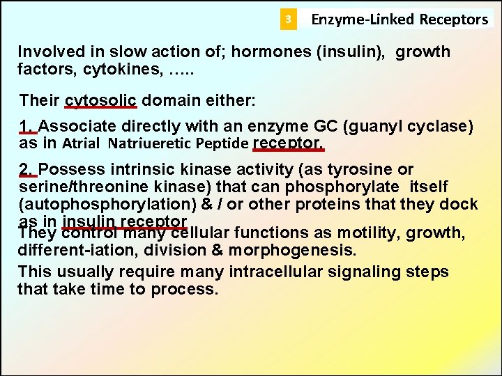 3 Enzyme-Linked Receptors Involved in slow action of; hormones (insulin), growth factors, cytokines, ….