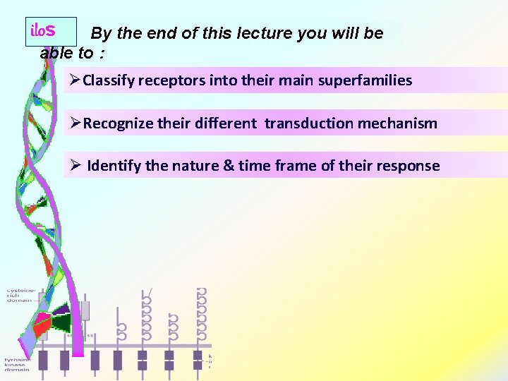ilos By the end of this lecture you will be able to : ØClassify