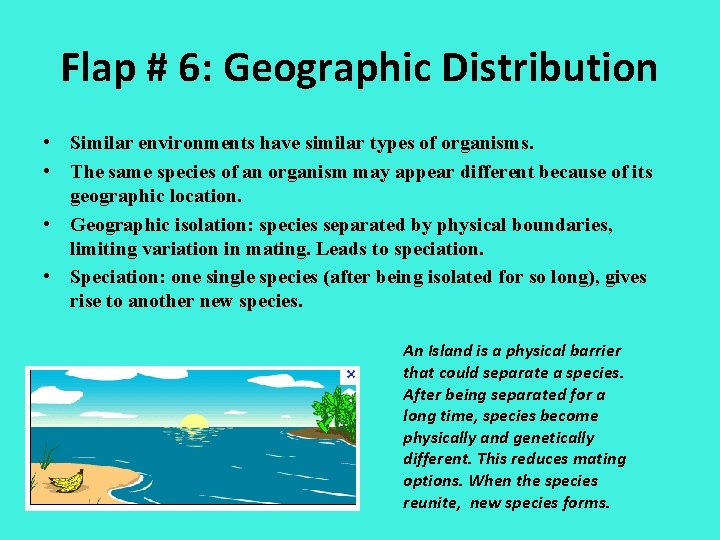 Flap # 6: Geographic Distribution • Similar environments have similar types of organisms. •