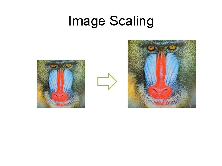 Image Scaling 