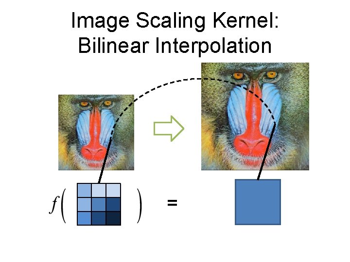 Image Scaling Kernel: Bilinear Interpolation = 