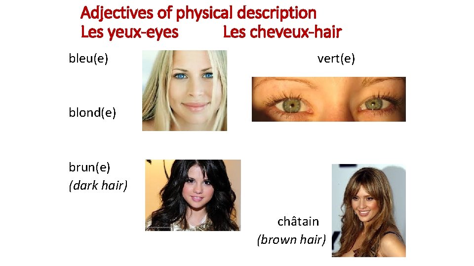 Adjectives of physical description Les yeux-eyes Les cheveux-hair bleu(e) vert(e) blond(e) brun(e) (dark hair)