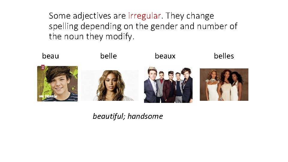 Some adjectives are irregular. They change spelling depending on the gender and number of