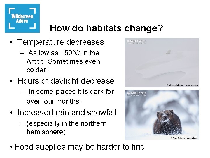 How do habitats change? • Temperature decreases – As low as − 50°C in