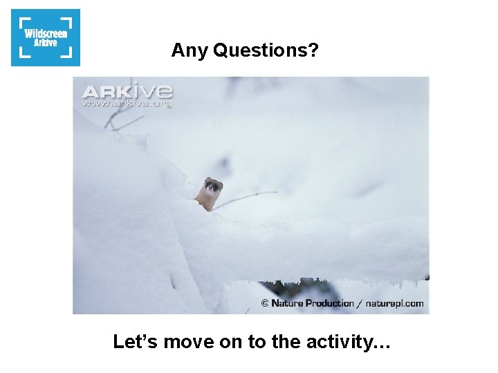 Any Questions? Let’s move on to the activity… 