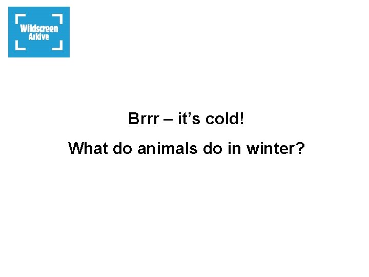 Brrr – it’s cold! What do animals do in winter? 