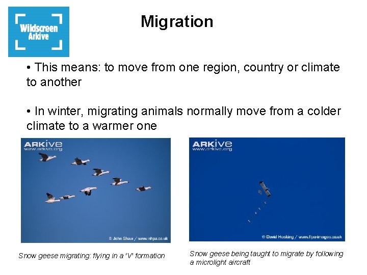 Migration • This means: to move from one region, country or climate to another
