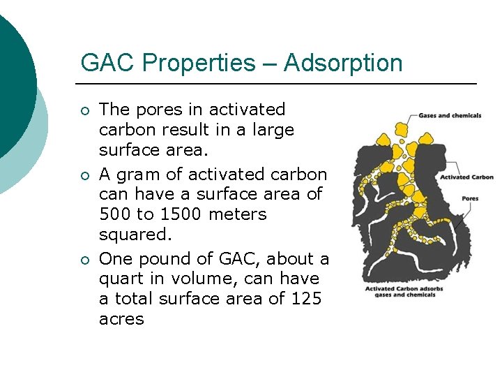 GAC Properties – Adsorption ¡ ¡ ¡ The pores in activated carbon result in