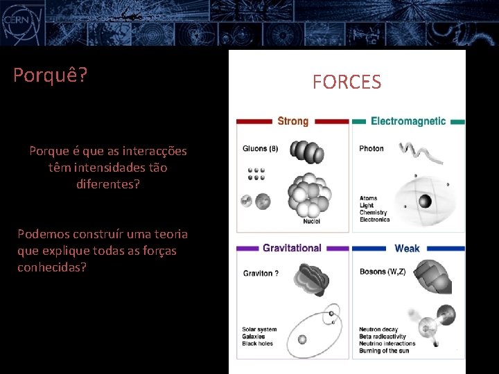 Porquê? Porque é que as interacções têm intensidades tão diferentes? Podemos construír uma teoria