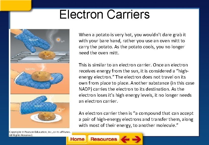 Electron Carriers When a potato is very hot, you wouldn’t dare grab it with