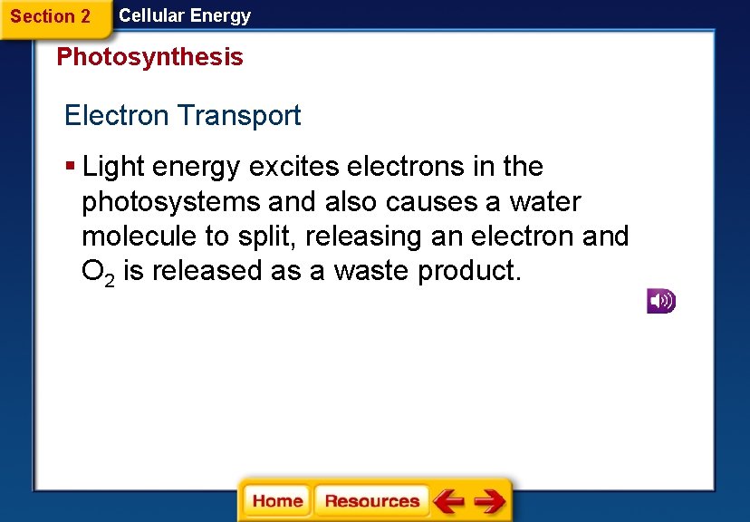 Section 2 Cellular Energy Photosynthesis Electron Transport § Light energy excites electrons in the