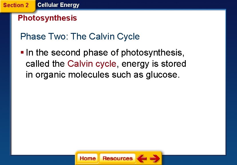 Section 2 Cellular Energy Photosynthesis Phase Two: The Calvin Cycle § In the second