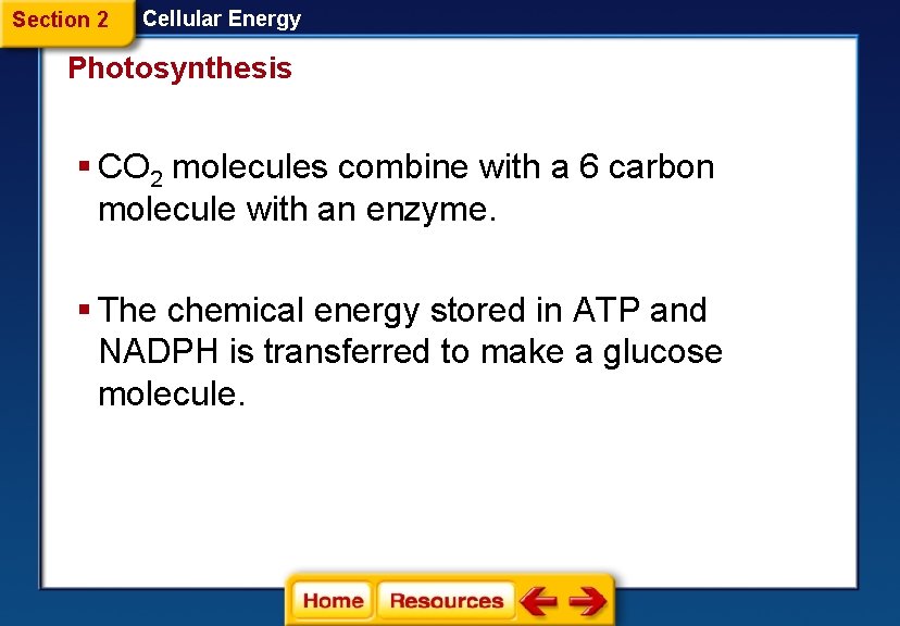 Section 2 Cellular Energy Photosynthesis § CO 2 molecules combine with a 6 carbon