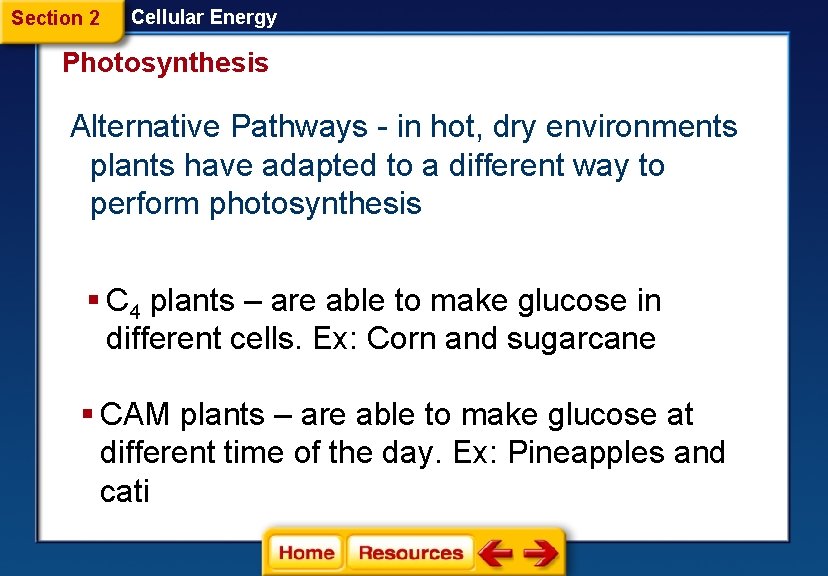 Section 2 Cellular Energy Photosynthesis Alternative Pathways - in hot, dry environments plants have