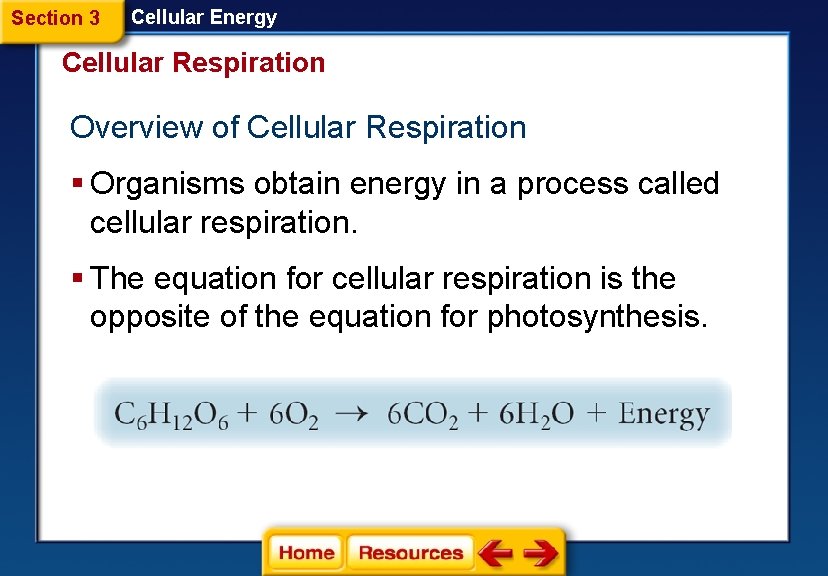 Section 3 Cellular Energy Cellular Respiration Overview of Cellular Respiration § Organisms obtain energy