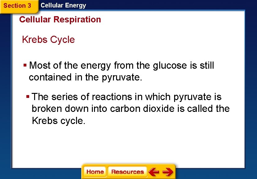 Section 3 Cellular Energy Cellular Respiration Krebs Cycle § Most of the energy from