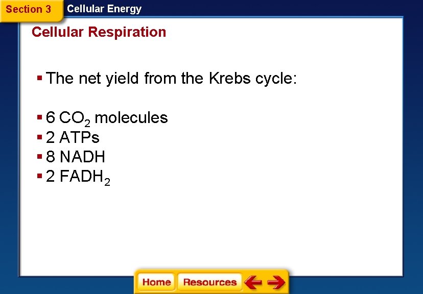 Section 3 Cellular Energy Cellular Respiration § The net yield from the Krebs cycle: