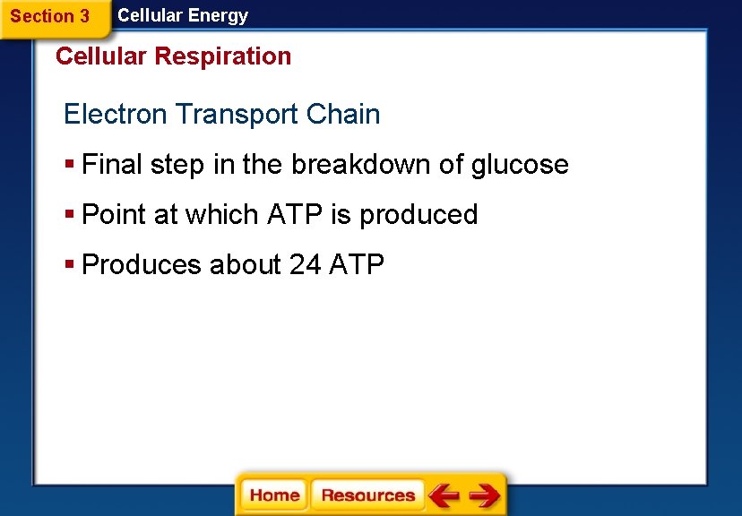 Section 3 Cellular Energy Cellular Respiration Electron Transport Chain § Final step in the