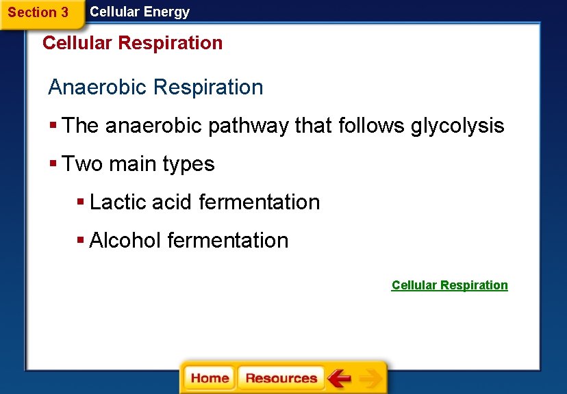 Section 3 Cellular Energy Cellular Respiration Anaerobic Respiration § The anaerobic pathway that follows