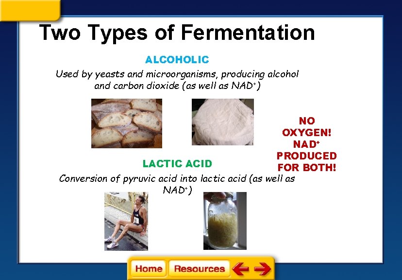 Two Types of Fermentation ALCOHOLIC Used by yeasts and microorganisms, producing alcohol and carbon