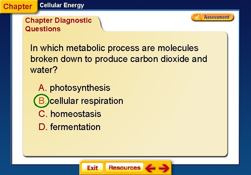 Chapter Cellular Energy Chapter Diagnostic Questions In which metabolic process are molecules broken down