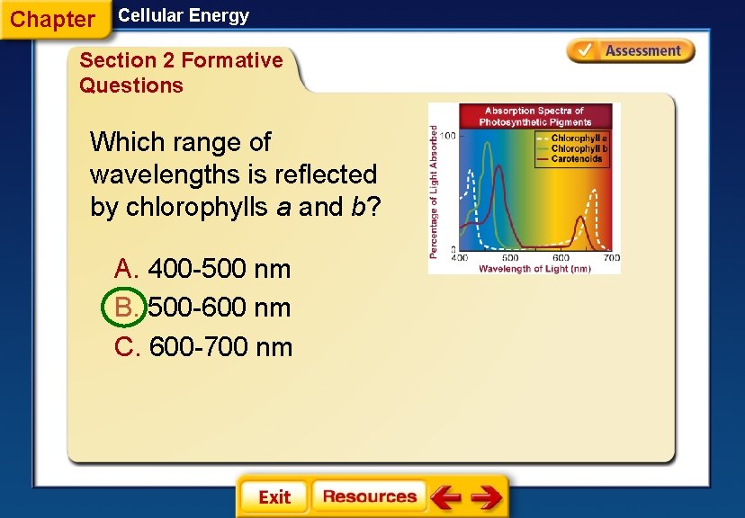 Chapter Cellular Energy Section 2 Formative Questions Which range of wavelengths is reflected by