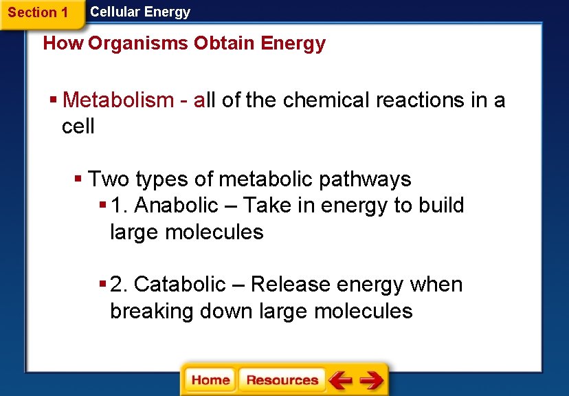 Section 1 Cellular Energy How Organisms Obtain Energy § Metabolism - all of the