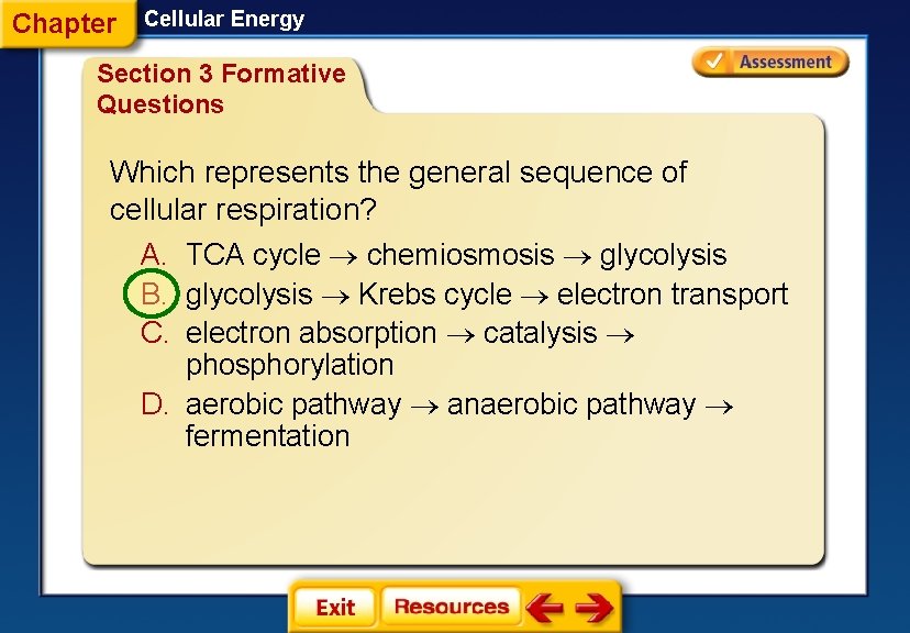 Chapter Cellular Energy Section 3 Formative Questions Which represents the general sequence of cellular