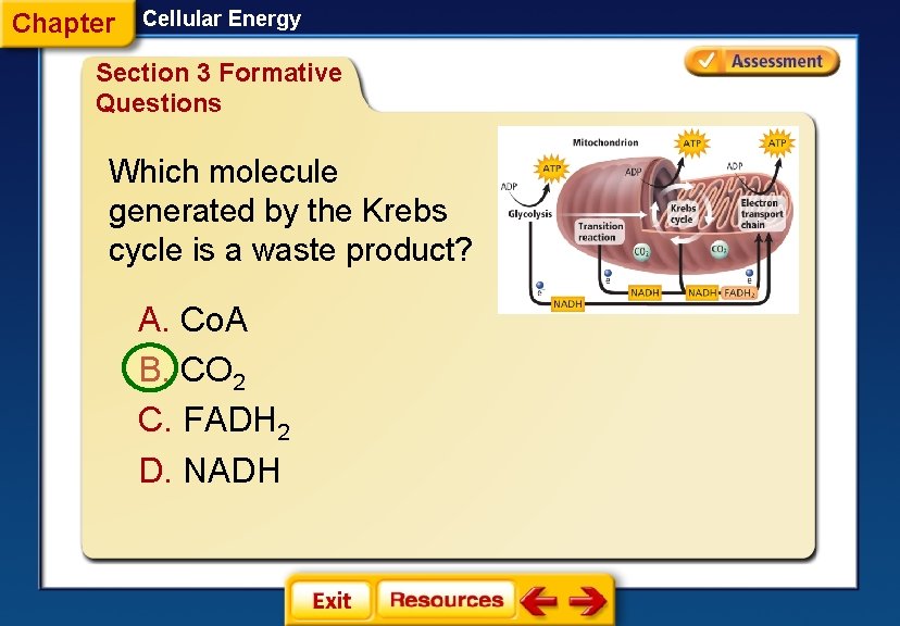 Chapter Cellular Energy Section 3 Formative Questions Which molecule generated by the Krebs cycle