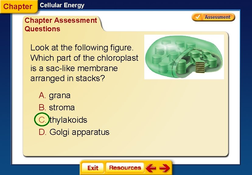 Chapter Cellular Energy Chapter Assessment Questions Look at the following figure. Which part of