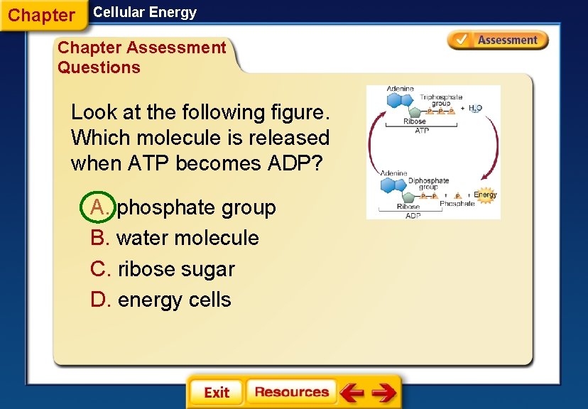 Chapter Cellular Energy Chapter Assessment Questions Look at the following figure. Which molecule is