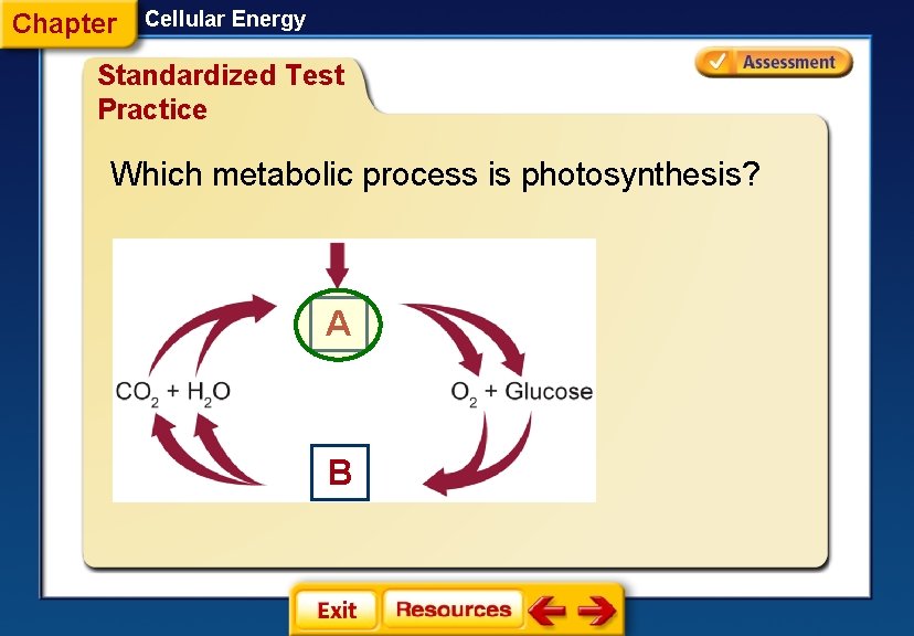 Chapter Cellular Energy Standardized Test Practice Which metabolic process is photosynthesis? A 1. 2.