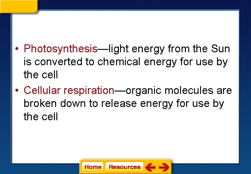  • Photosynthesis—light energy from the Sun is converted to chemical energy for use