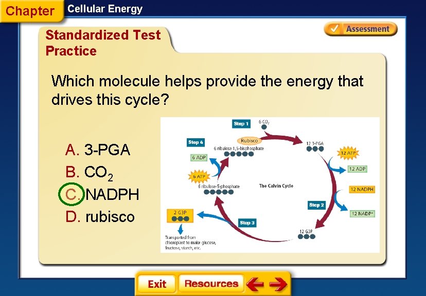 Chapter Cellular Energy Standardized Test Practice Which molecule helps provide the energy that drives