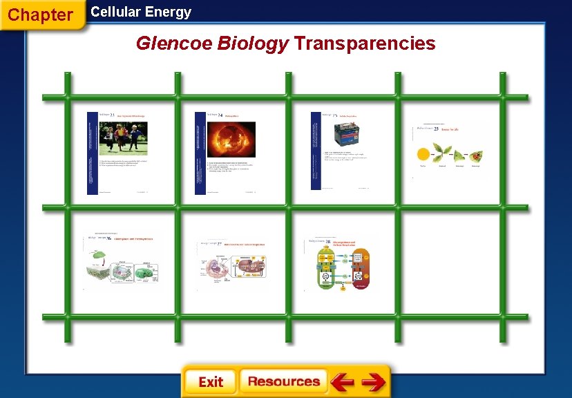 Chapter Cellular Energy Glencoe Biology Transparencies 