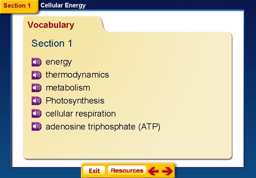 Section 1 Cellular Energy Vocabulary Section 1 energy thermodynamics metabolism Photosynthesis cellular respiration adenosine