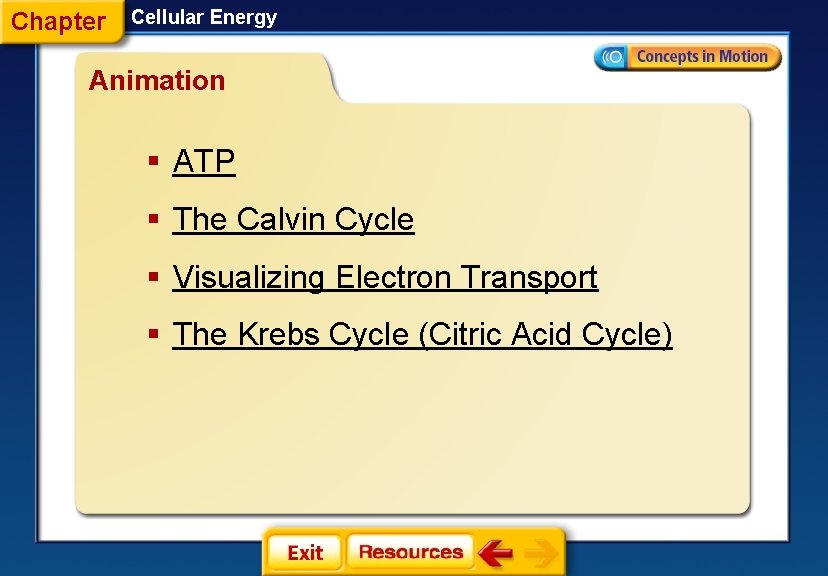 Chapter Cellular Energy Animation § ATP § The Calvin Cycle § Visualizing Electron Transport